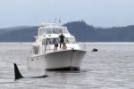 Photo of a luxurious yacht in Broughton Archipelago Provincial Marine Park off Vancouver Island in British Columbia.